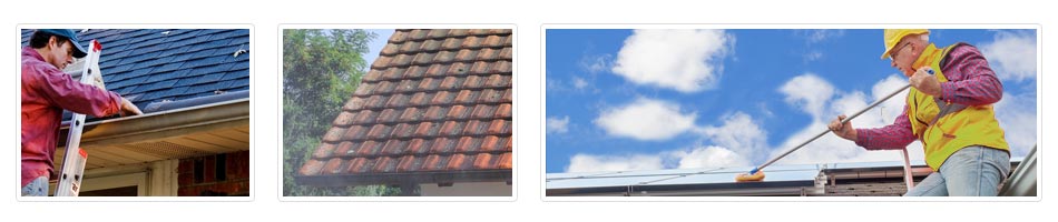 Sandiacre roof cleaning costs